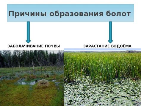 Причины образования водяных ям в реке