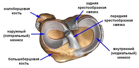 Причины повреждения мениска