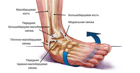 Причины повреждения ноги