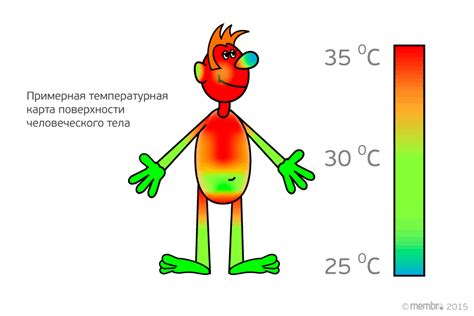 Причины повышения тепла в организме человека