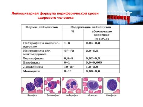 Причины повышения уровней лимфоцитов у взрослого