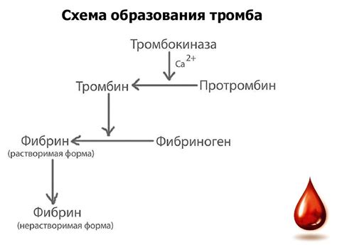 Причины повышенного уровня протромбина