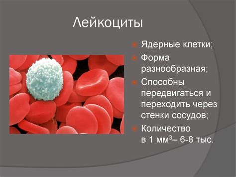 Причины пониженных лейкоцитов