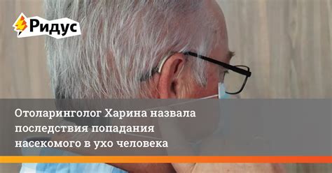 Причины попадания насекомого в ухо