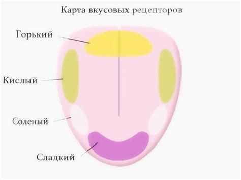 Причины потери вкуса сладкого