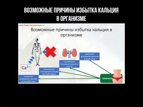 Причины появления избытка вещества в организме