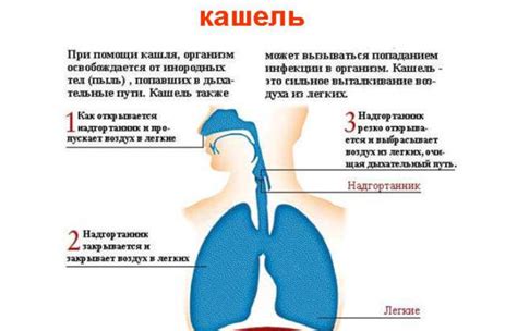 Причины появления кашля у новорожденных