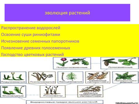 Причины появления обсаженных растений