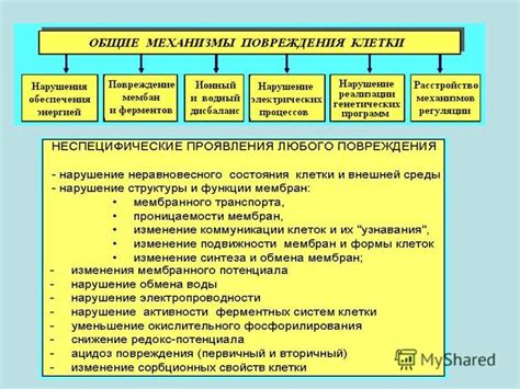 Причины провоспалительного повреждения