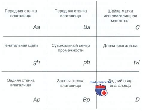 Причины пролапса кишечной стенки