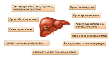 Причины развития МТС печени