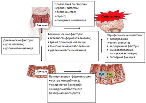 Причины развития непереносимости лактозы у взрослых