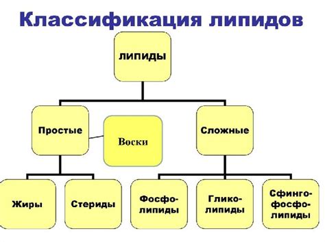 Причины различий в уровне либидо