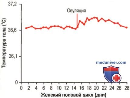 Причины стерильности у женщин