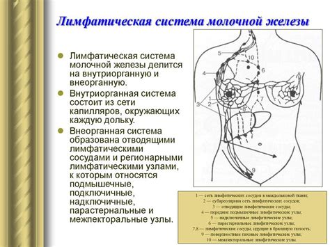 Причины увеличения лимфоузлов в брюшной полости