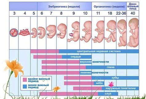 Причины ущемления девочек