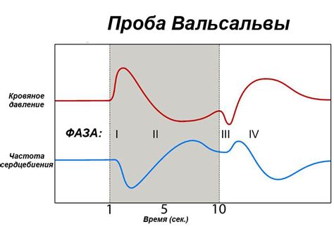 Проба Вальсальвы слабоположительная: