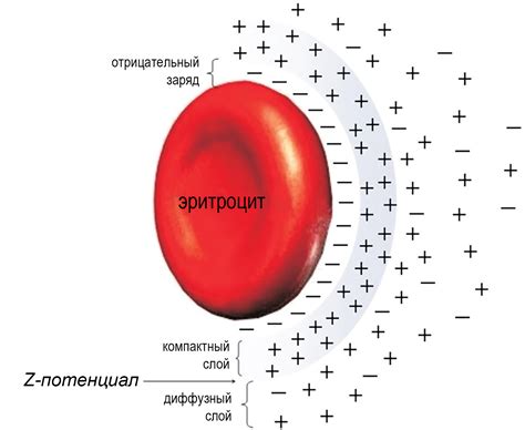 Проблема расслоения и оседания грунтовки