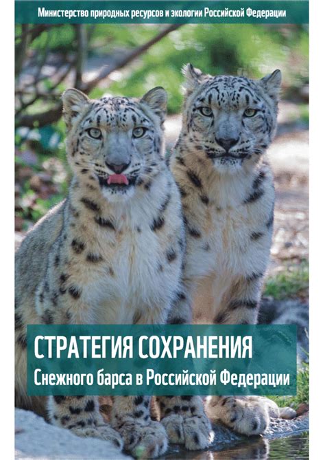 Проблемы сохранения снежного барса: роль браконьерства и незаконной торговли