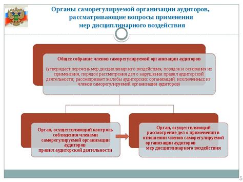 Проблемы стандартов саморегулируемой организации аудиторов