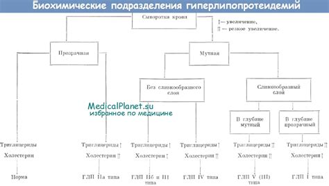 Проведение диагностики ГЛП