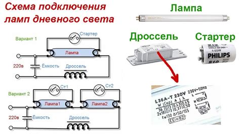 Проверьте подключение лампы к питанию