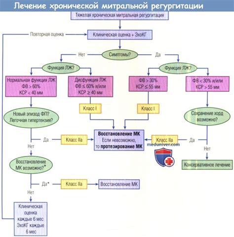 Прогноз и предупреждение минимальной митральной регургитации у ребенка