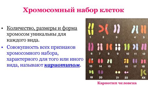 Прогноз и предупреждение редуцированного набора хромосом