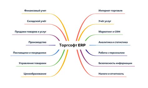 Программа и ERP-система: какие отличия важно понимать