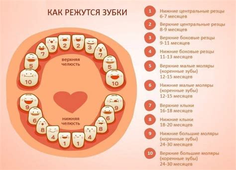 Прогресс в развитии малыша: признаки достижений по состоянию зубочков