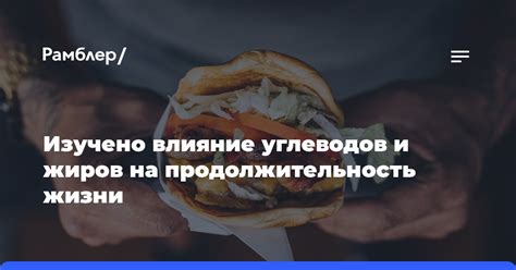 Продолжительность приема: значение и влияние