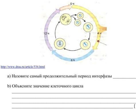 Продолжительный период тестирования