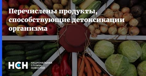 Продукты, способствующие загазованности организма