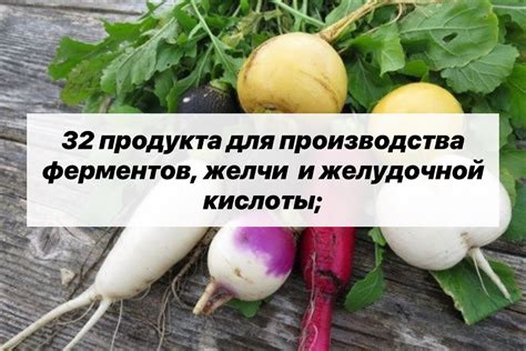 Продукты, стимулирующие выработку желчи