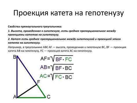 Проекция катета в практических примерах