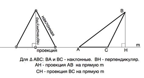 Проекция стороны: понятие и сущность