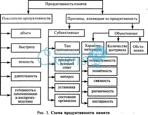 Произвольное запоминание и его роль