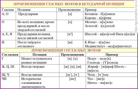 Произношение согласных звуков в русском языке