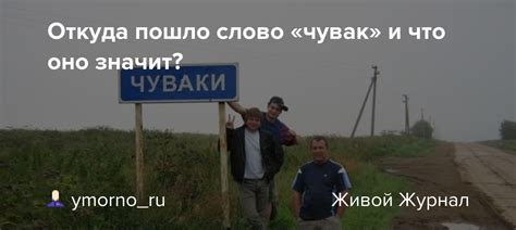 Происхождение выражения "корки мочишь": откуда пошло и что оно значит