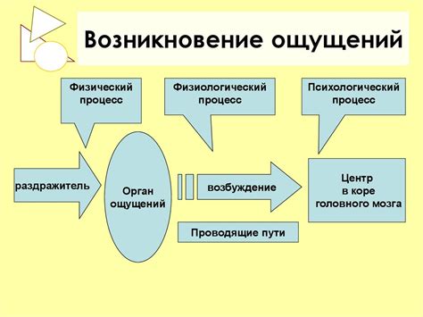 Происхождение и возникновение фантомных ощущений