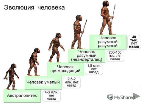 Происхождение и эволюция человека