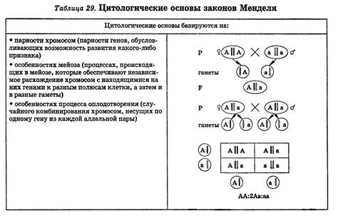 Промежуточный тип наследования: понятие и сущность