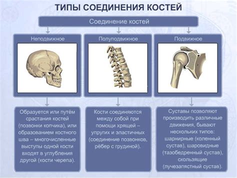 Промывка костей в хирургии