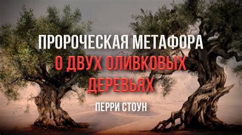 Пророческая сущность снов о густых зарослях камышей: предвещение перемен и открывающихся возможностей