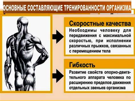 Пророчество о развитии духовных качеств и внутреннего роста