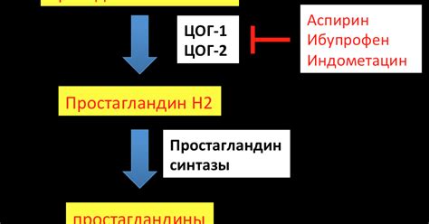 Простагландин: способность к участию в воспалительных процессах и борьбе с болями