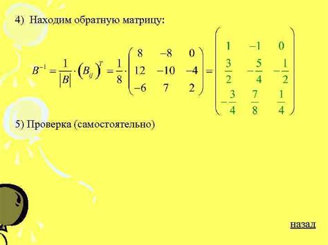 Простая матрица: определение и основные понятия