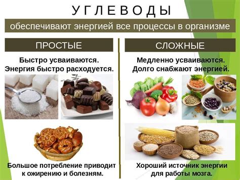 Простые и сложные углеводы: разница и значение