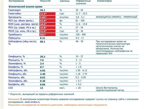 Профессионалы в анализе снов: помощь в расшифровке образов