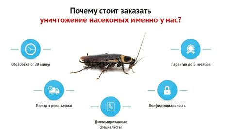 Профессиональные методы борьбы с непрухой